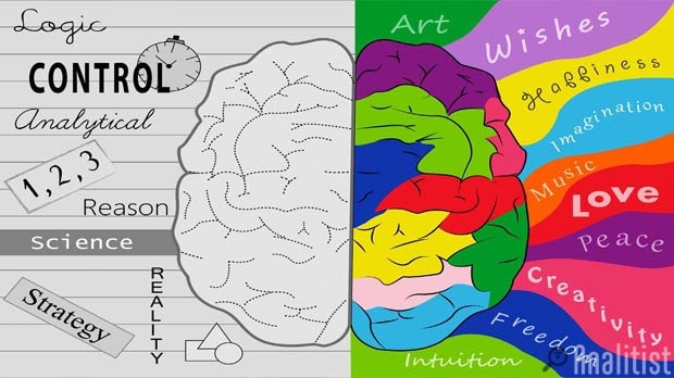 Which Side of Your Brain is More Active?