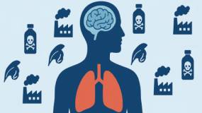 Toksik Yük Farkındalık Testi